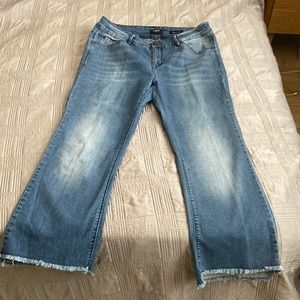 Chic Flare Denim Jeans in Light Blue